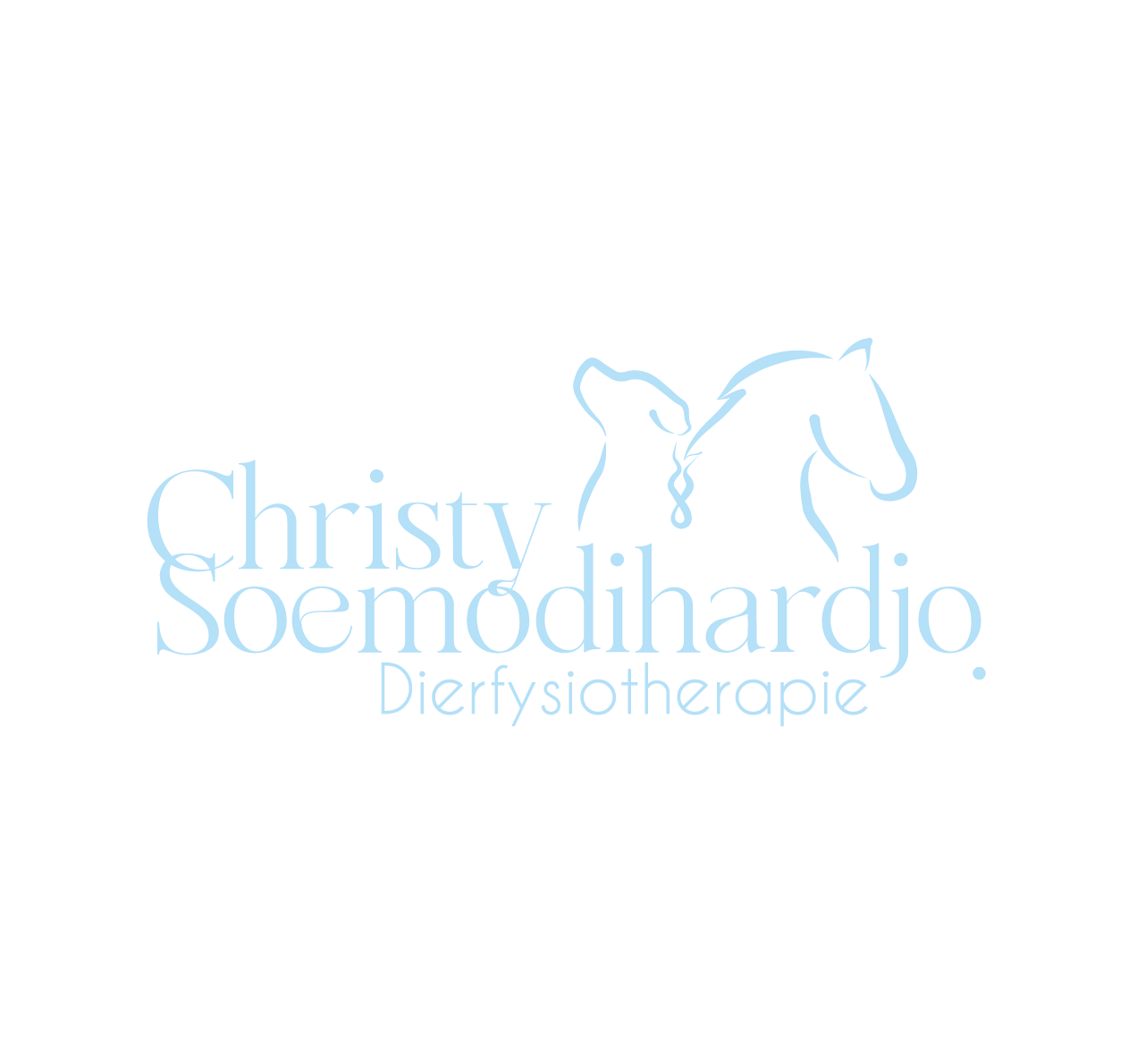 christy-dierfysiotherapie.nl